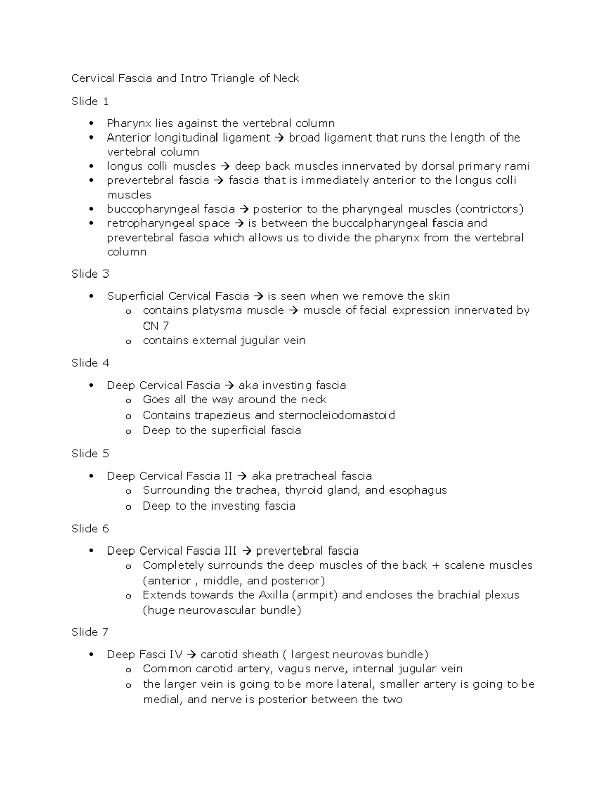 Cervical Fascia and Intro Triangle of Neck word doc - Cervical Fascia ...