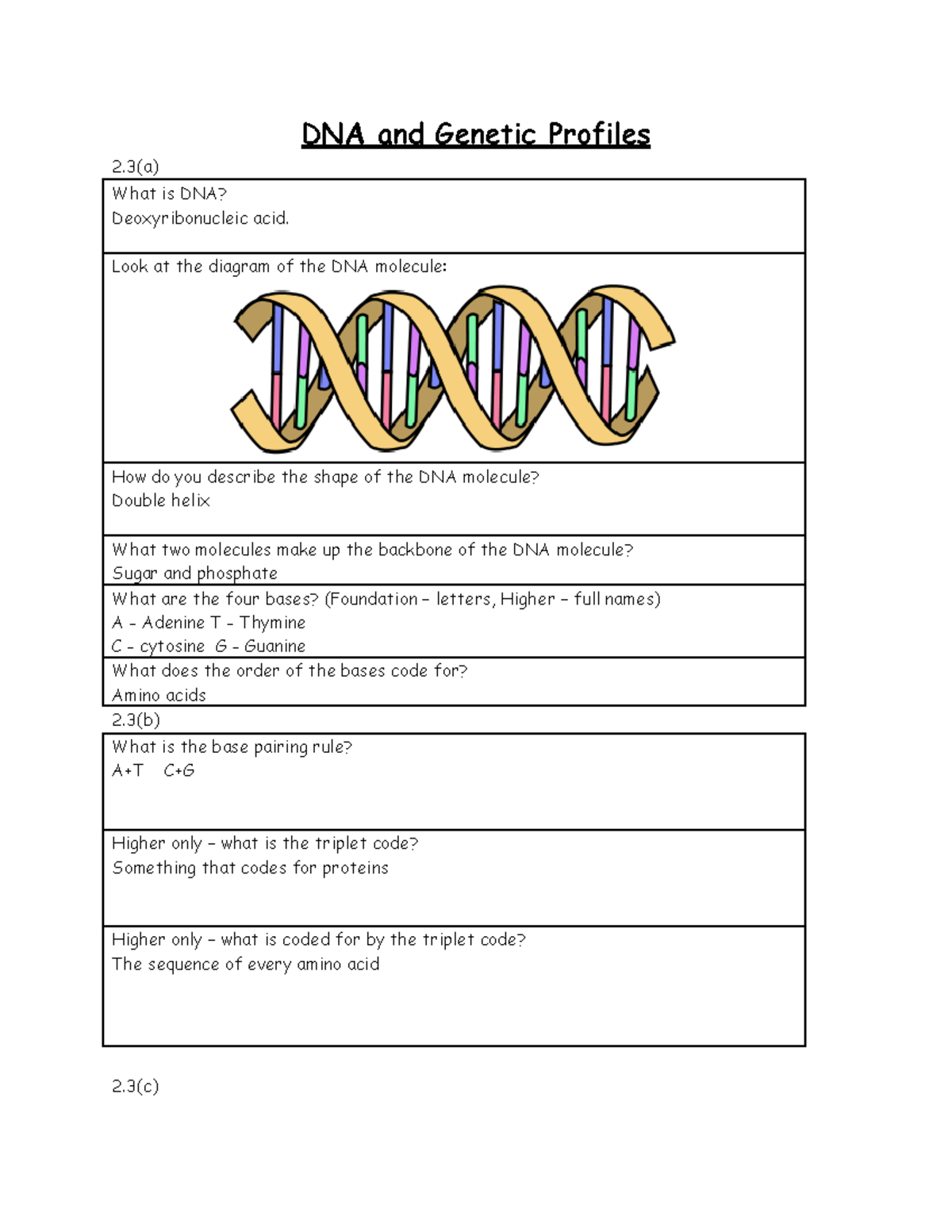 Copy of Year 11 DNA and Genetic Profiles - DNA and Genetic Profiles 2(a ...