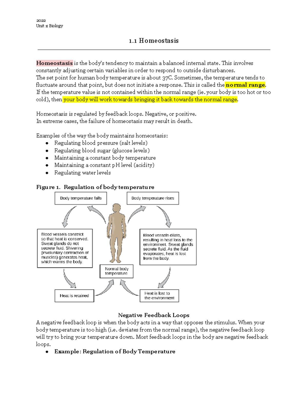 Homeostasis Notes - 2022 Unit 1: Biology 1 Homeostasis Homeostasis Is ...