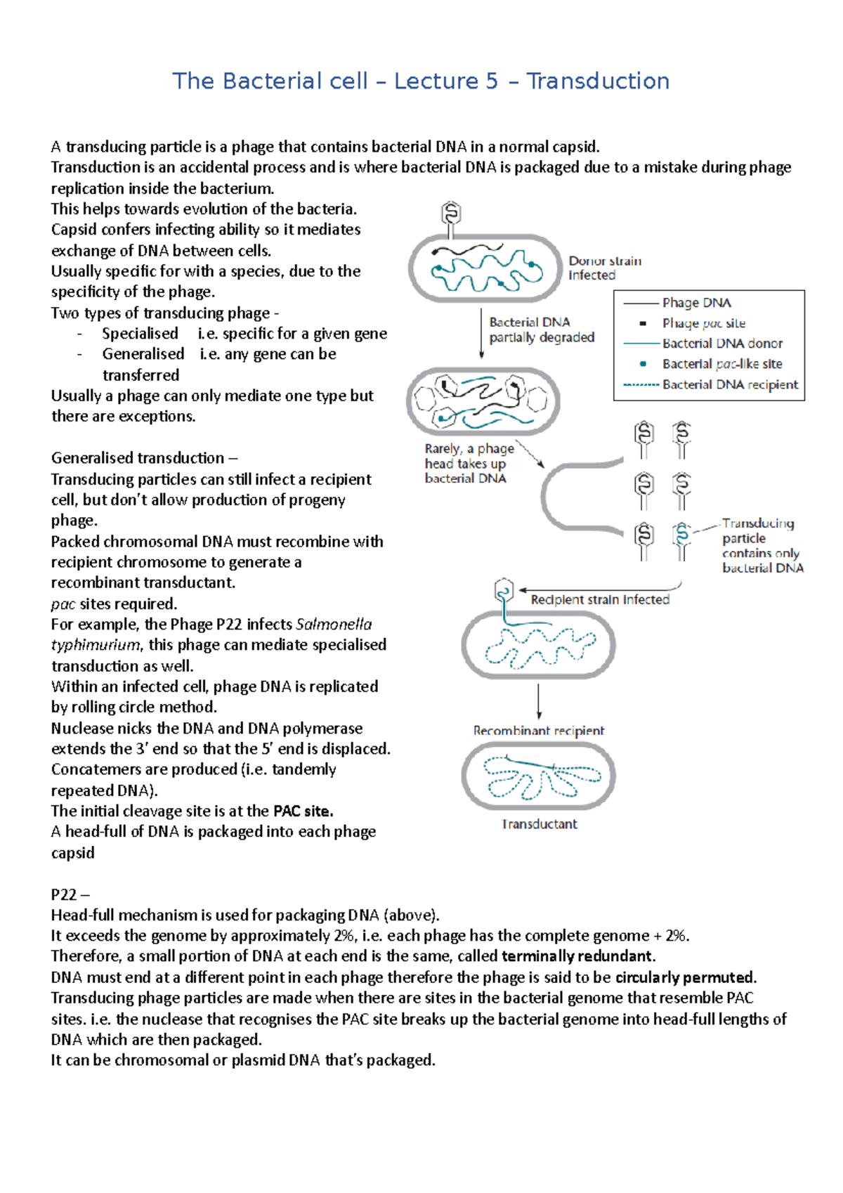 The Bacteria Cell Lecture 5 - The Bacterial cell – Lecture 5 ...