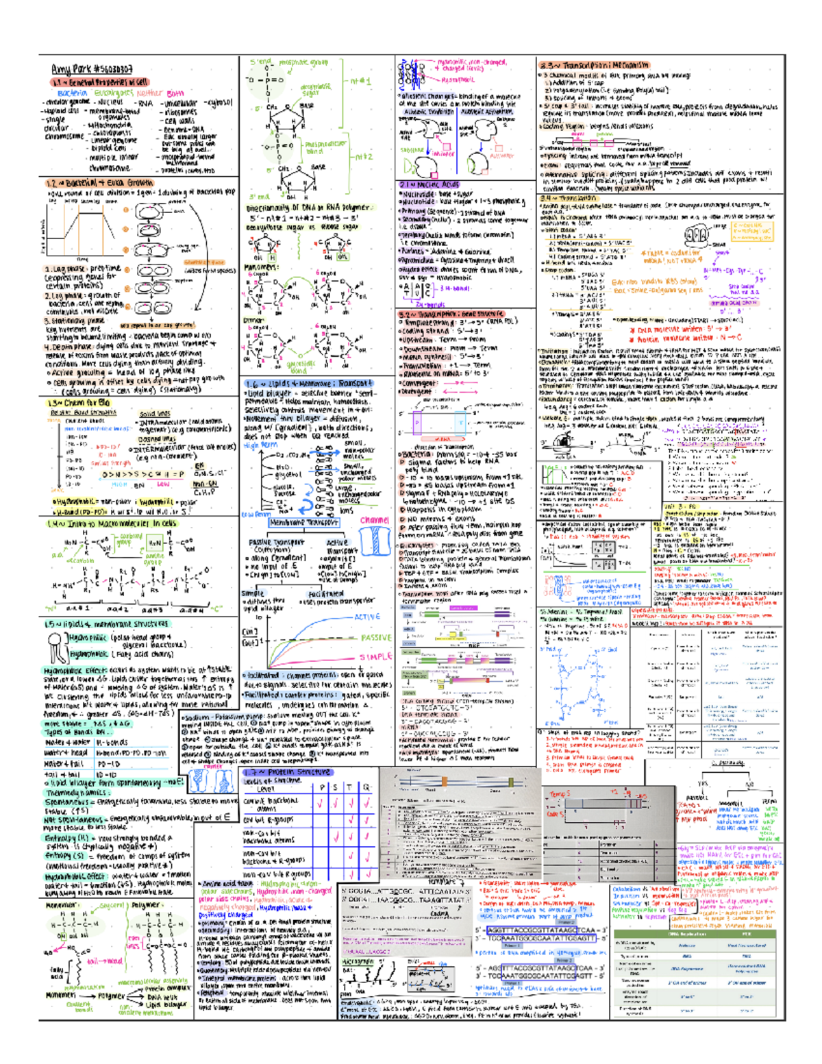 Final sheet - BIOL 112 - UBC - Studocu