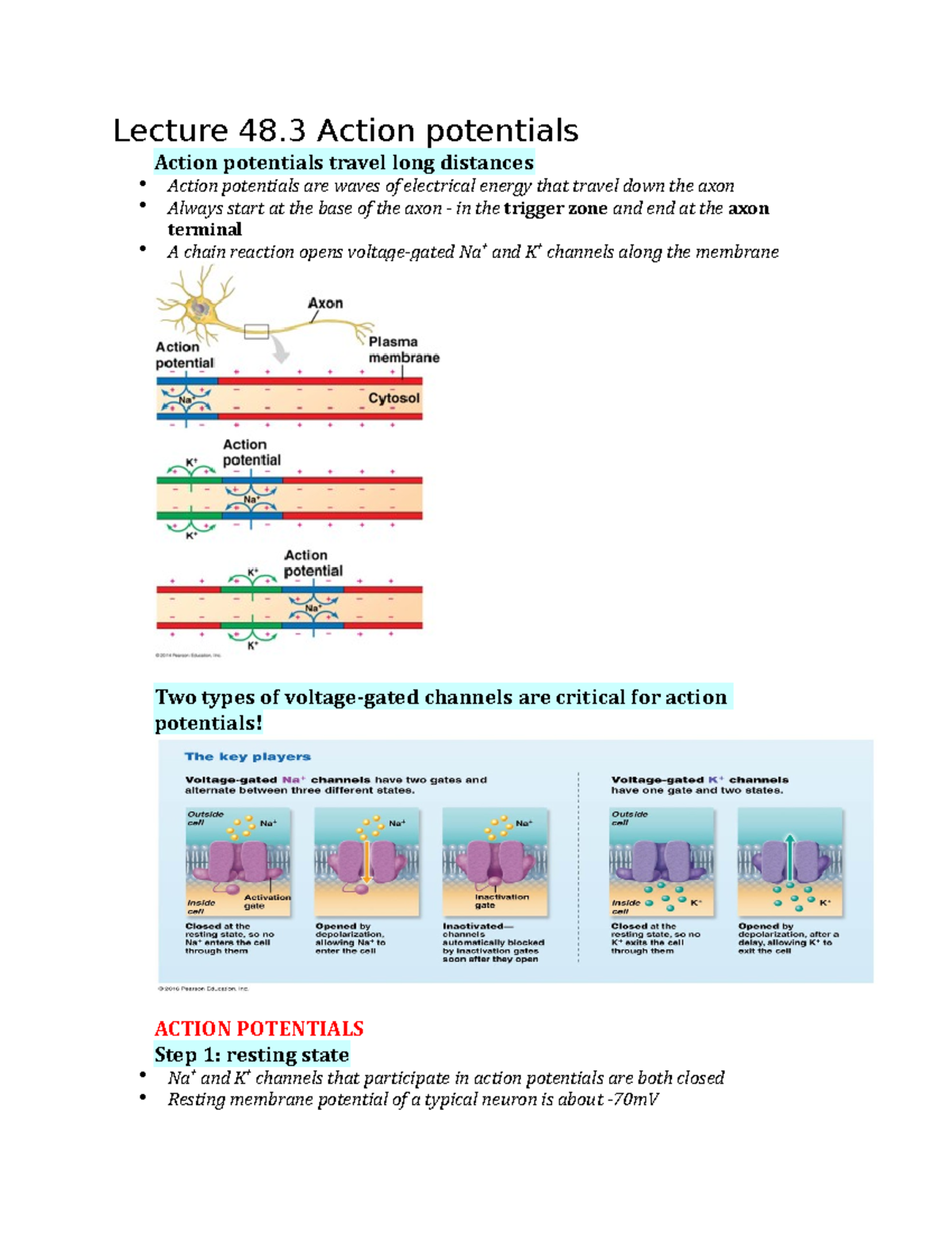 chapter-48-part-2-lecture-48-action-potentials-action-potentials