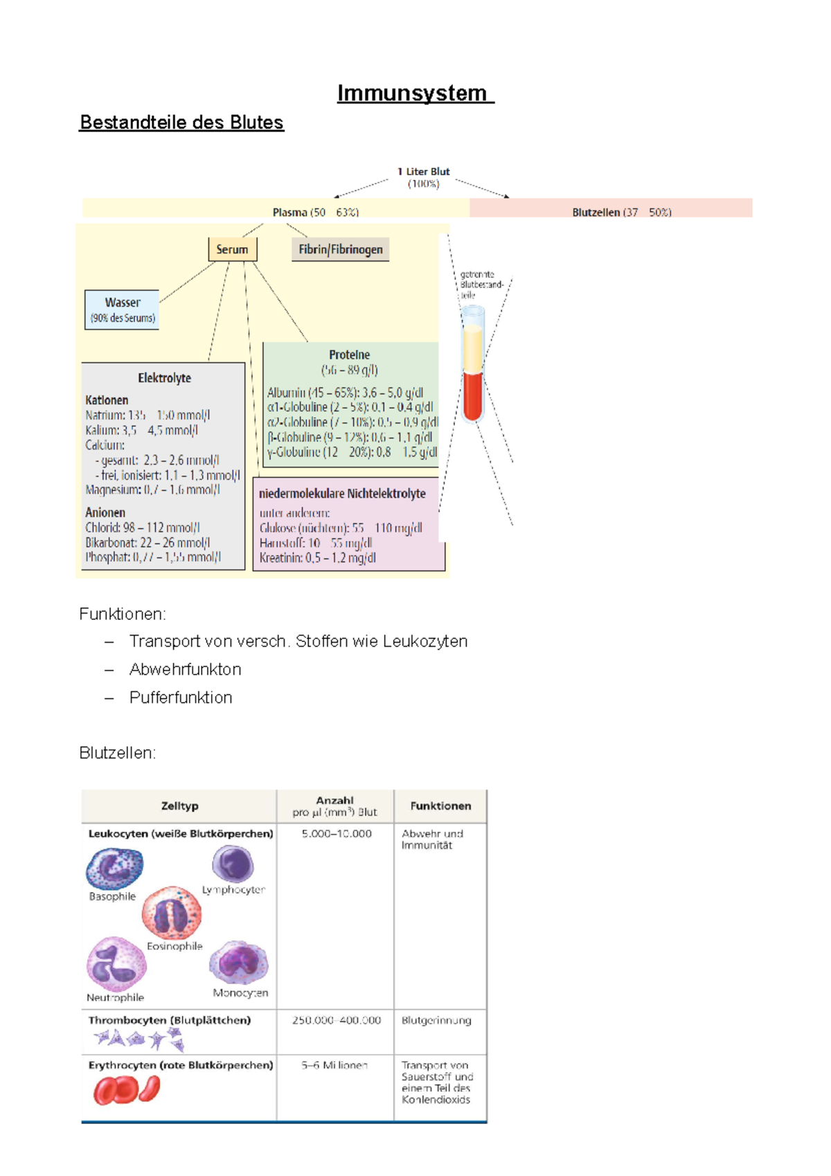 Immunsystem (Blut, Abwehrmechanismen,Immunantwort...) - Immunsystem ...