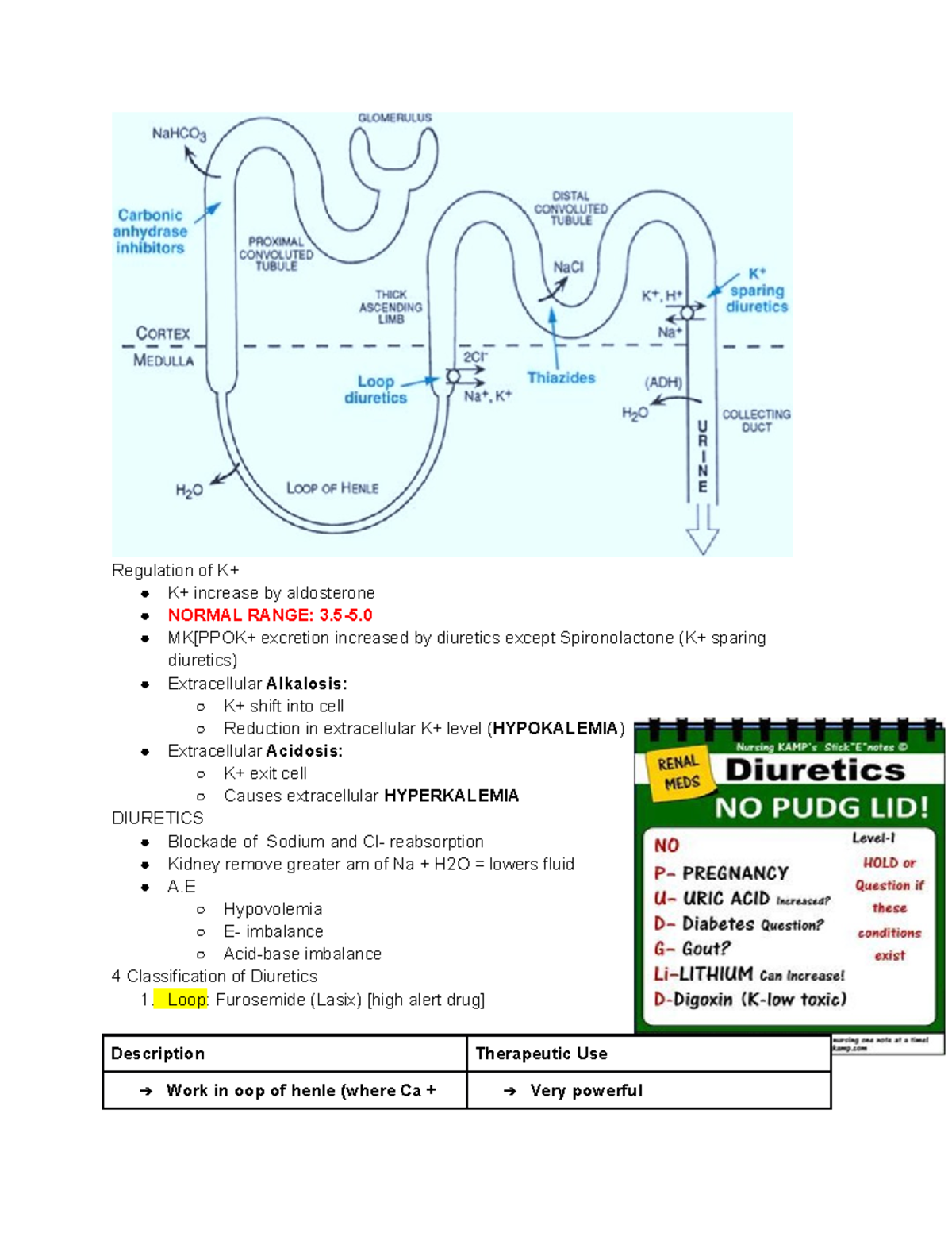 3321 Fluid + Electrolyes - Regulation of K+ K+ increase by aldosterone ...