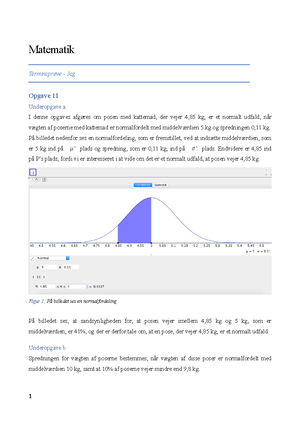 Annas Fritidsjob Lol - Matematik Opgave 2020 December 2 Aflevering 1.1 ...