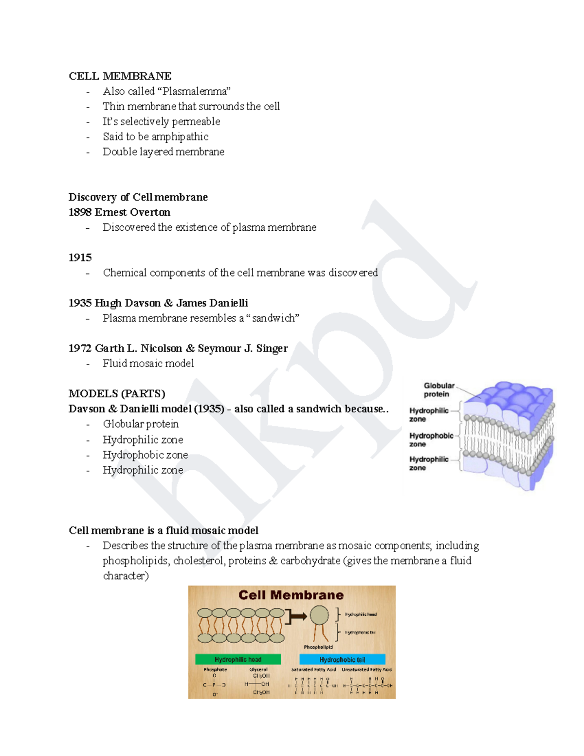 Genbio 1 -1 - Hahahahahaahs - hkpd CELL MEMBRANE Also called ...