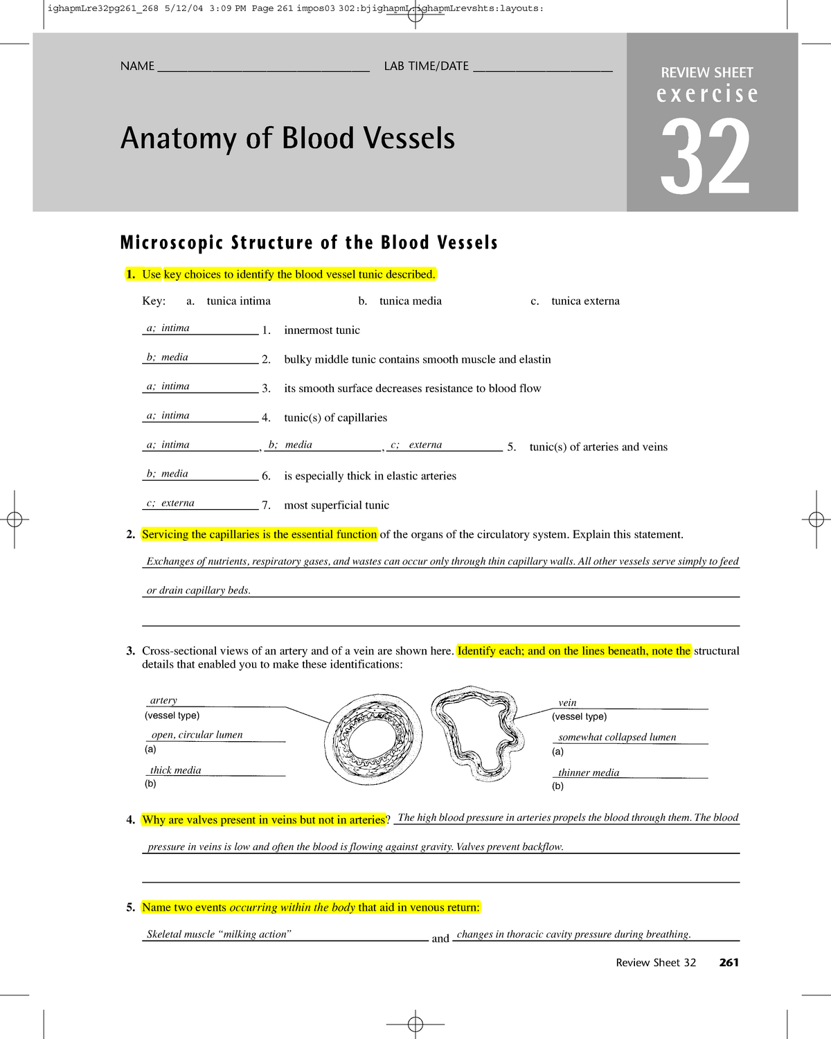 exercise 32 anatomy of blood vessels pdf