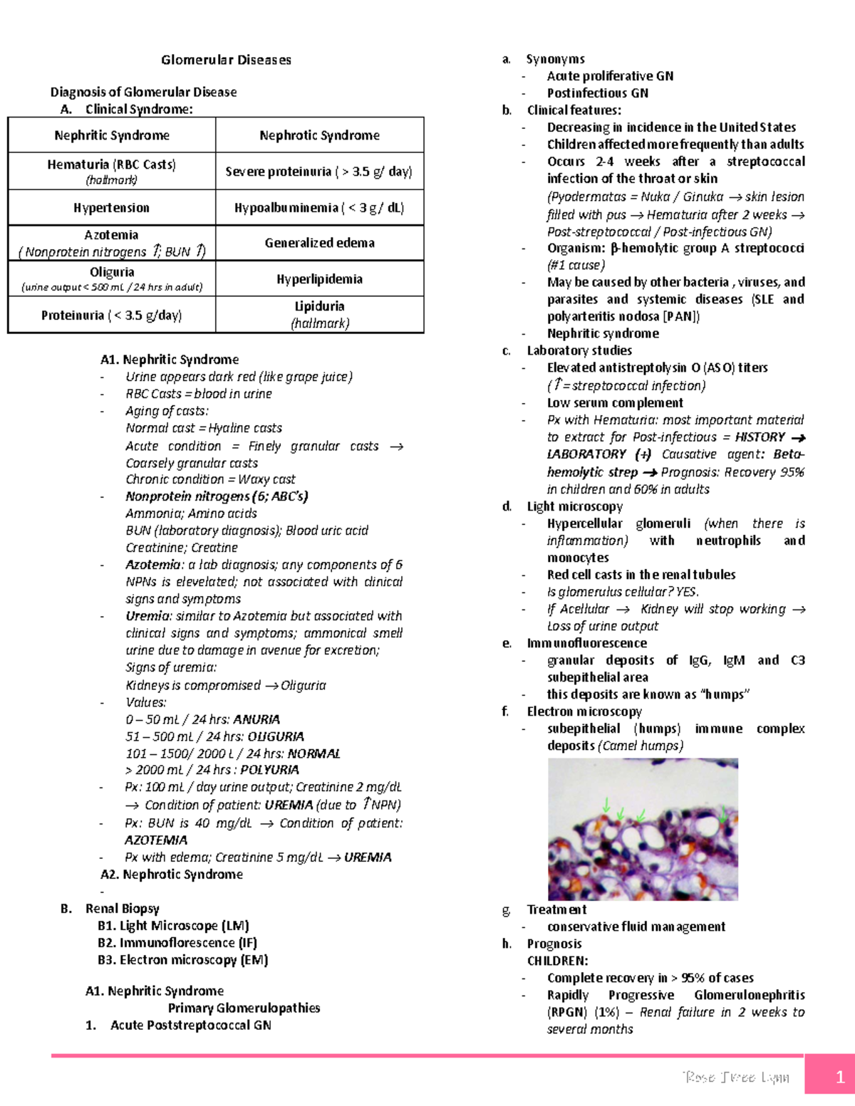 9 - Glomerular Disease - micro - Glomerular Diseases Hematuria (RBC ...