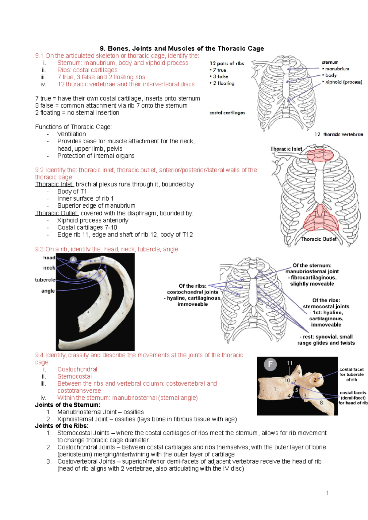 9 Bones, Joints and Muscles of the Thoracic Cage - 9. Bones, Joints and ...