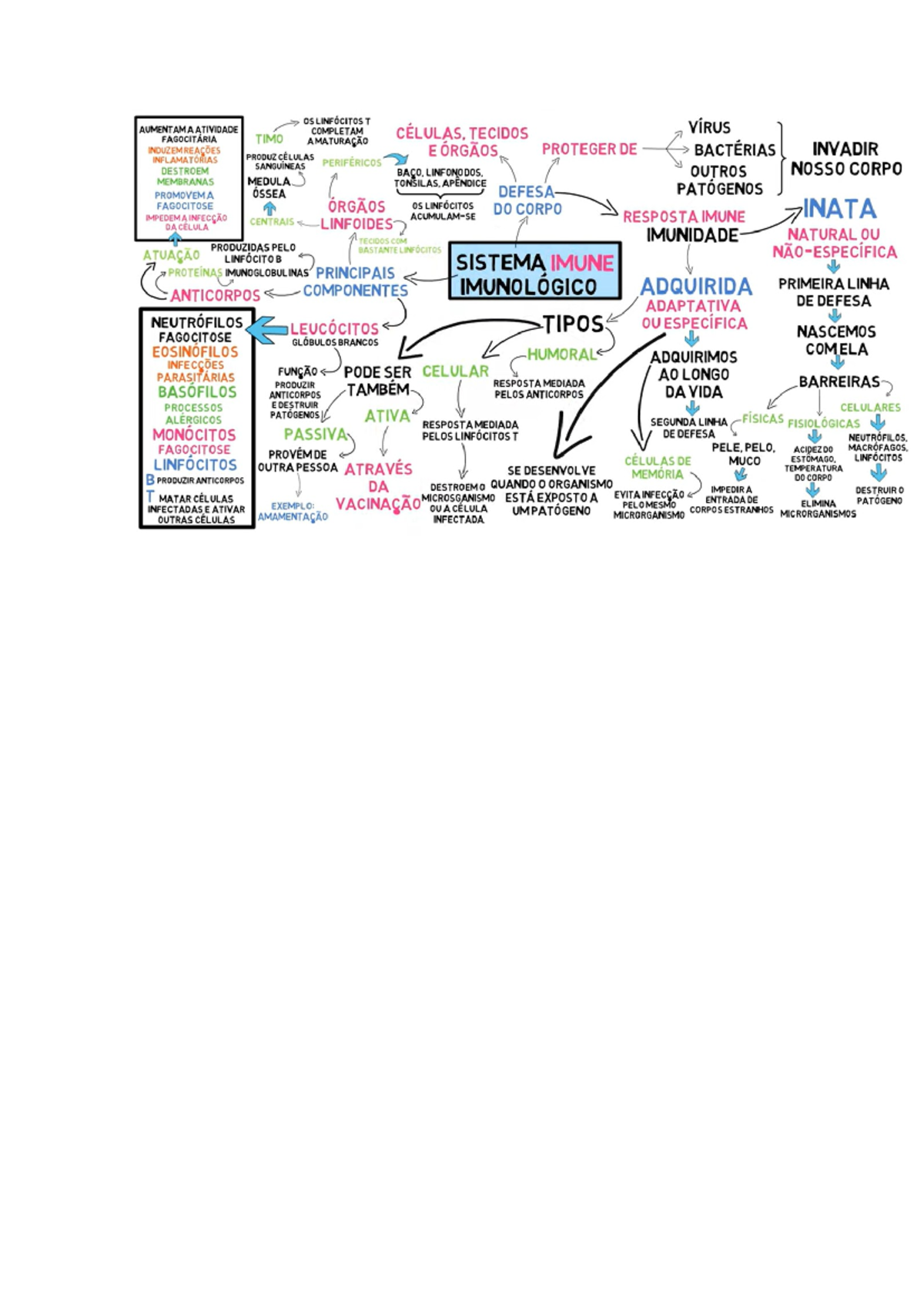 Mapa Mental Do Sistema Imune - Gerencia En Salud - Studocu