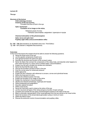 [Solved] Brain Part Specific portion Functions Cerebrum Primary Motor ...