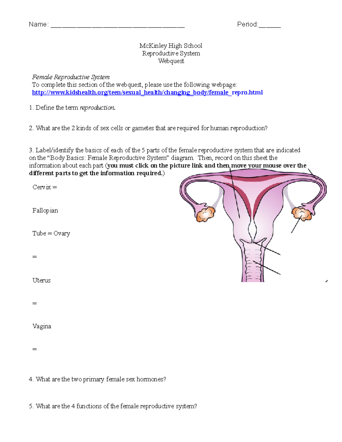 Reproductive system webquest Name Period McKinley Studocu