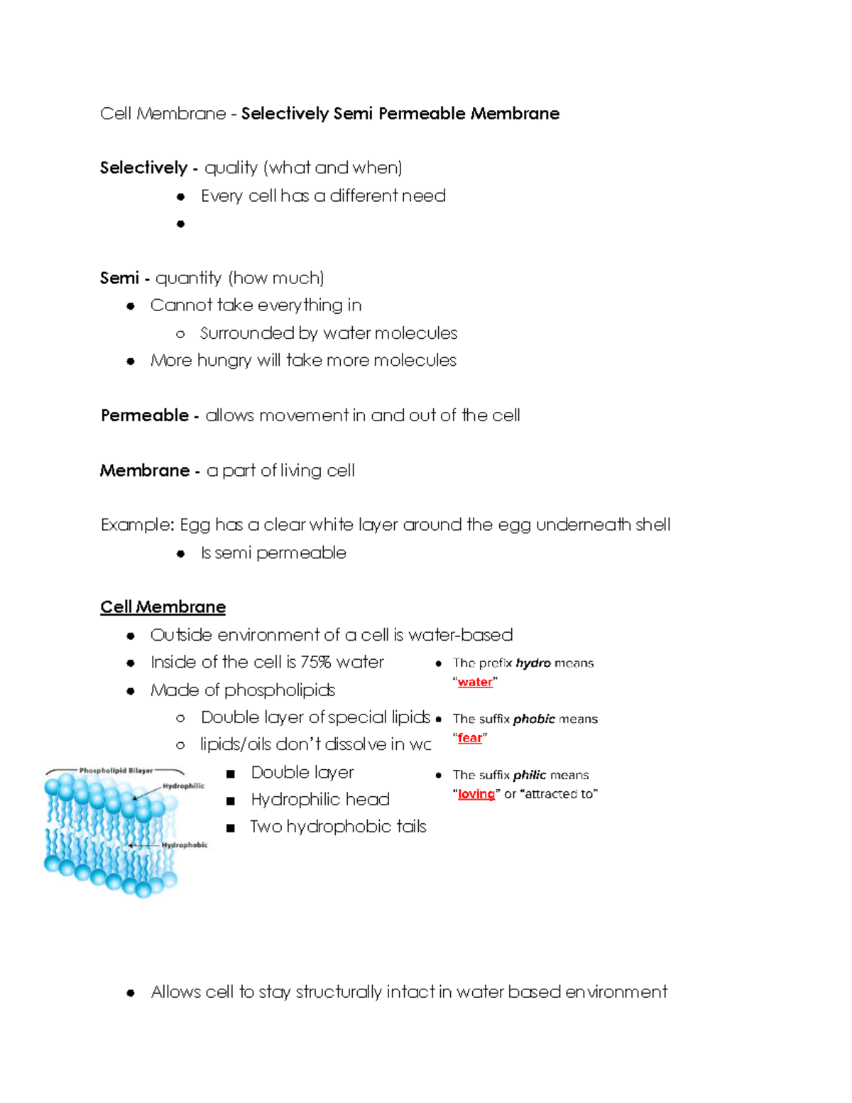 Notes - Hello - Cell Membrane - Selectively Semi Permeable Membrane ...