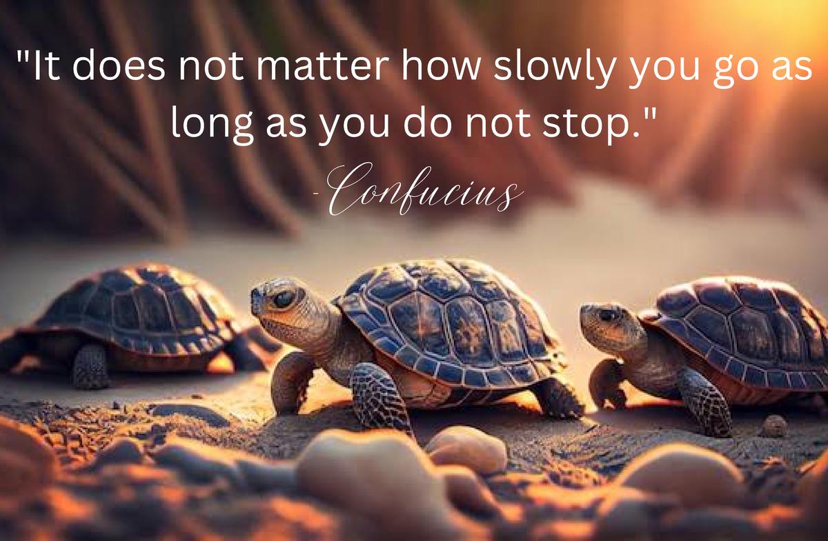 It does not matter how slowly you go as long as you do not stop ...