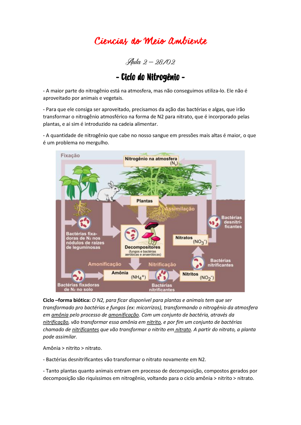 Ciencias Do Meio Ambiente Resumo Aula Aula Ciclo Do Nitrog Nio A Maior Parte