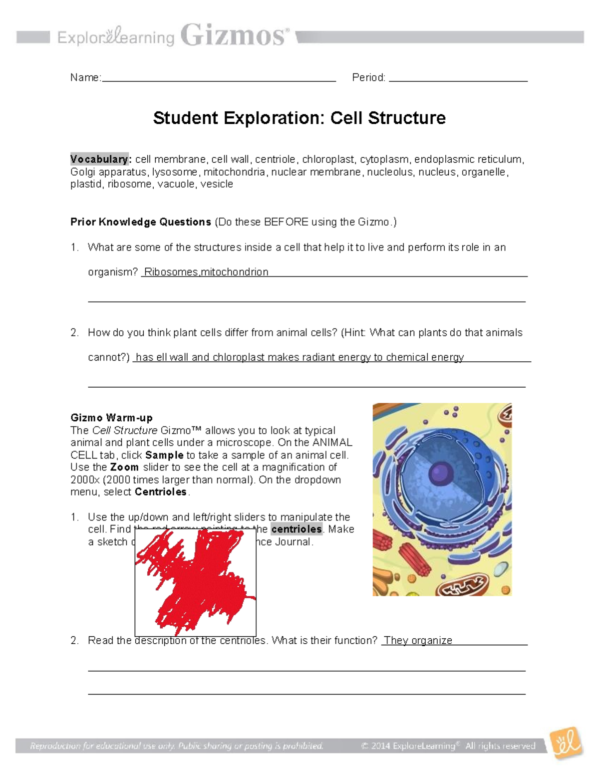 Cell Structure Gizmo - Idk - Name: Period: Student Exploration: Cell ...