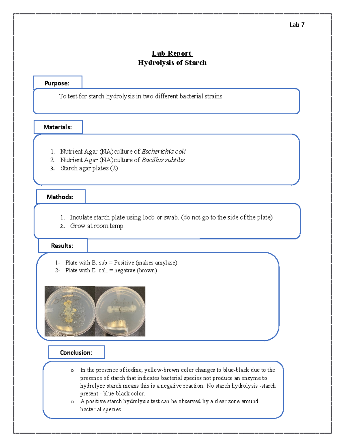 Lab report Lab 7 - Lab 7 Lab Report Hydrolysis of Starch Purpose: To ...