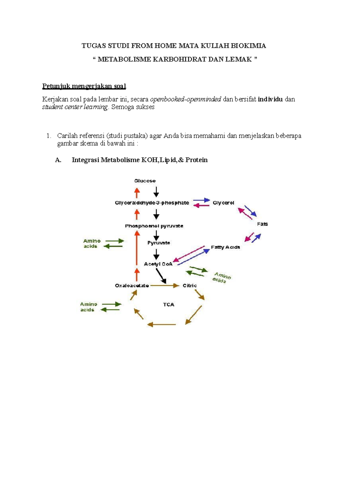 Practical Biokimia - TUGAS STUDI FROM HOME MATA KULIAH BIOKIMIA ...