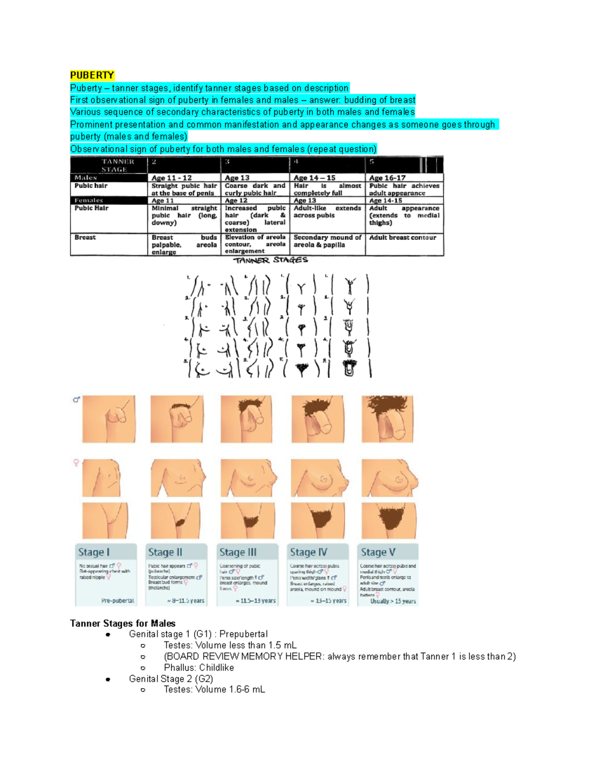 peds-final-sg-puberty-puberty-tanner-stages-identify-tanner-stages