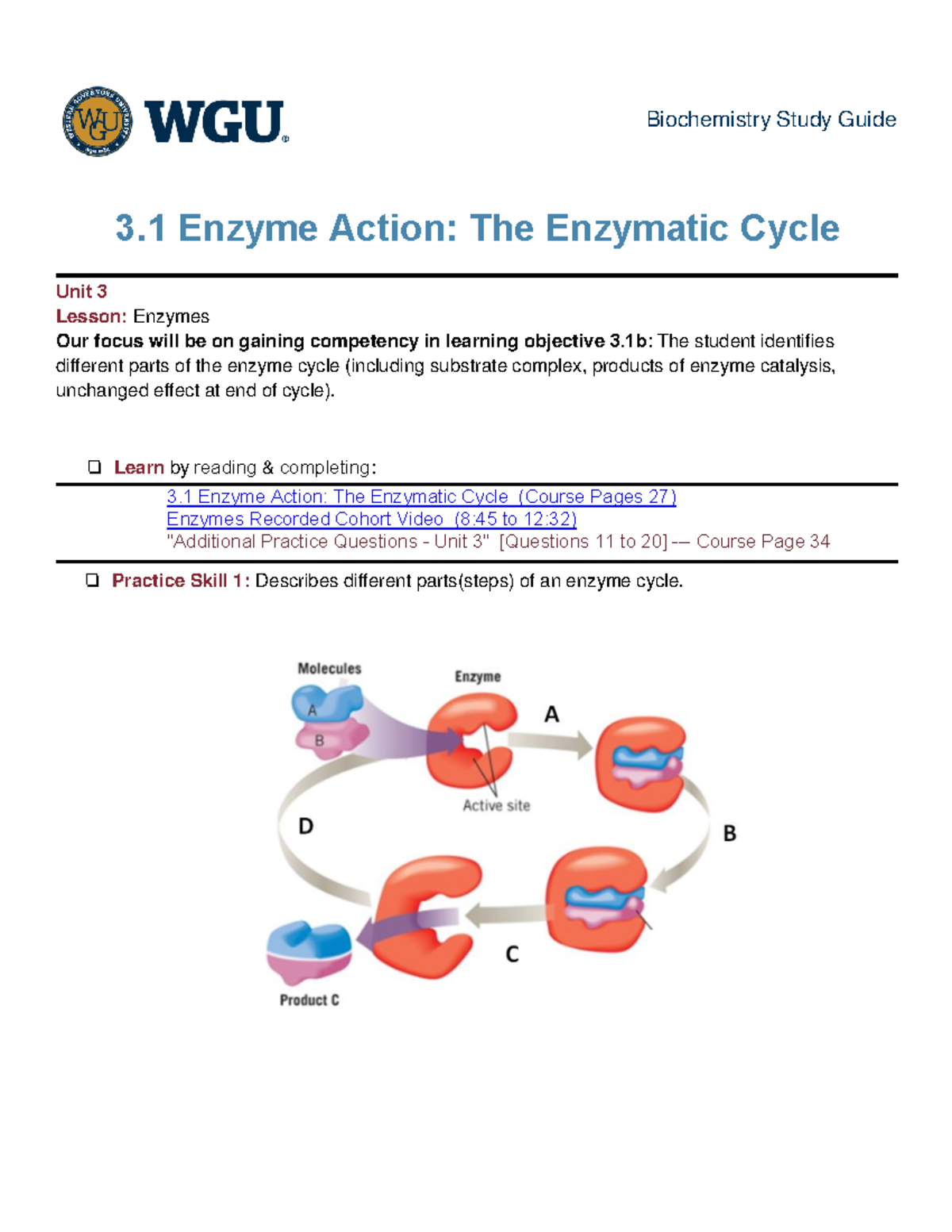 31 Enzyme Action The Enzymatic Cycle Biochemistry Study Guide 3