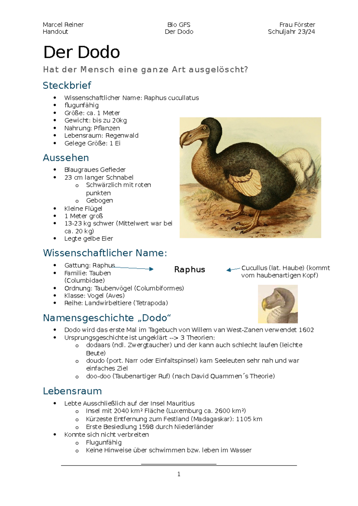 Wo Hat Der Dodo Gelebt? : Der Dodo: Wie die Riesentaube von Mauritius ...