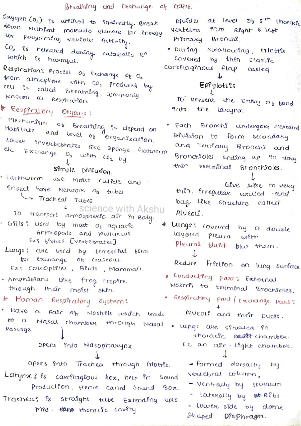 Breathing and exchange of gases - Biology class 11 - Studocu