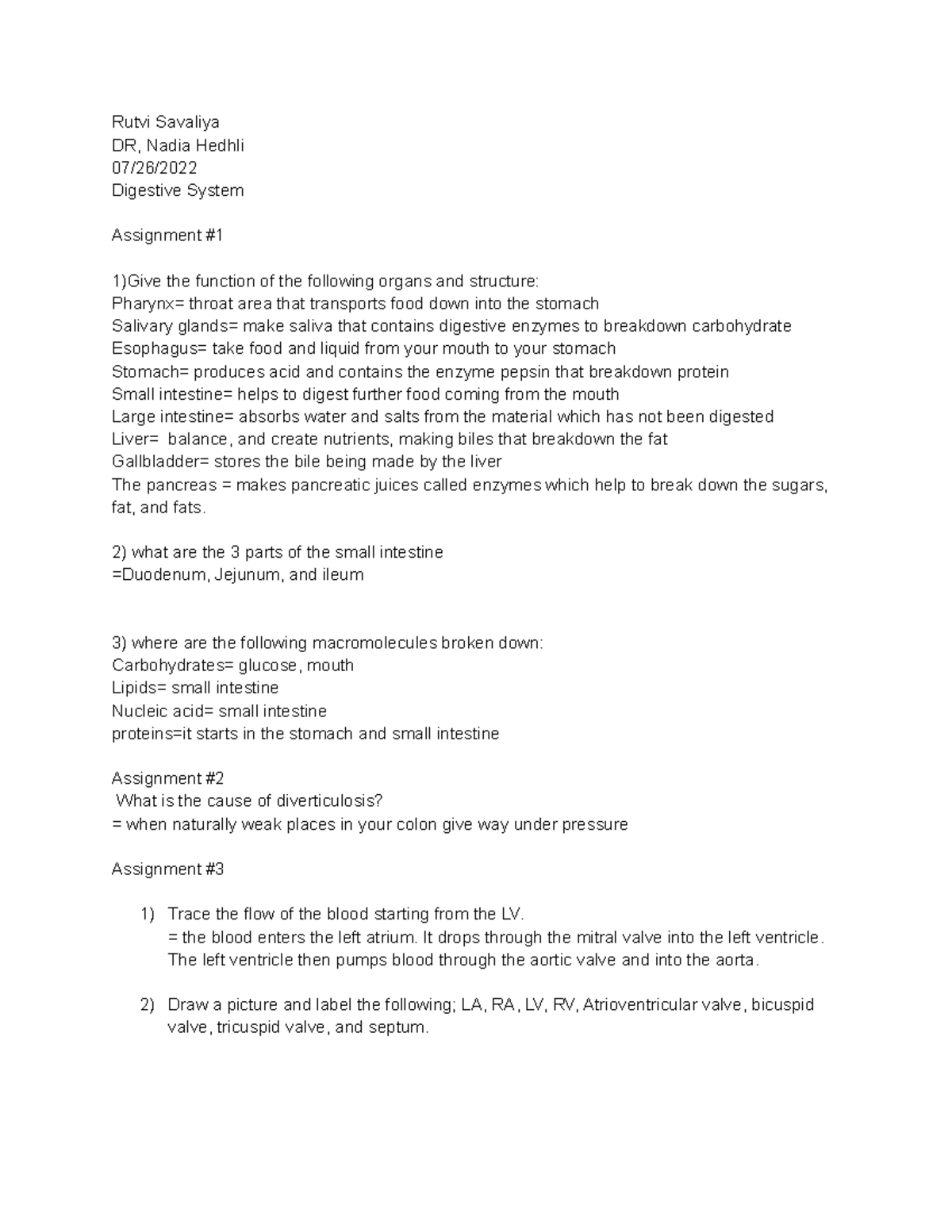 Human Biology Digestive System Rutvi Savaliya DR Nadia Hedhli 07 26 Human Biology Digestive System Rutvi Savaliya DR Nadia Hedhli 07 26