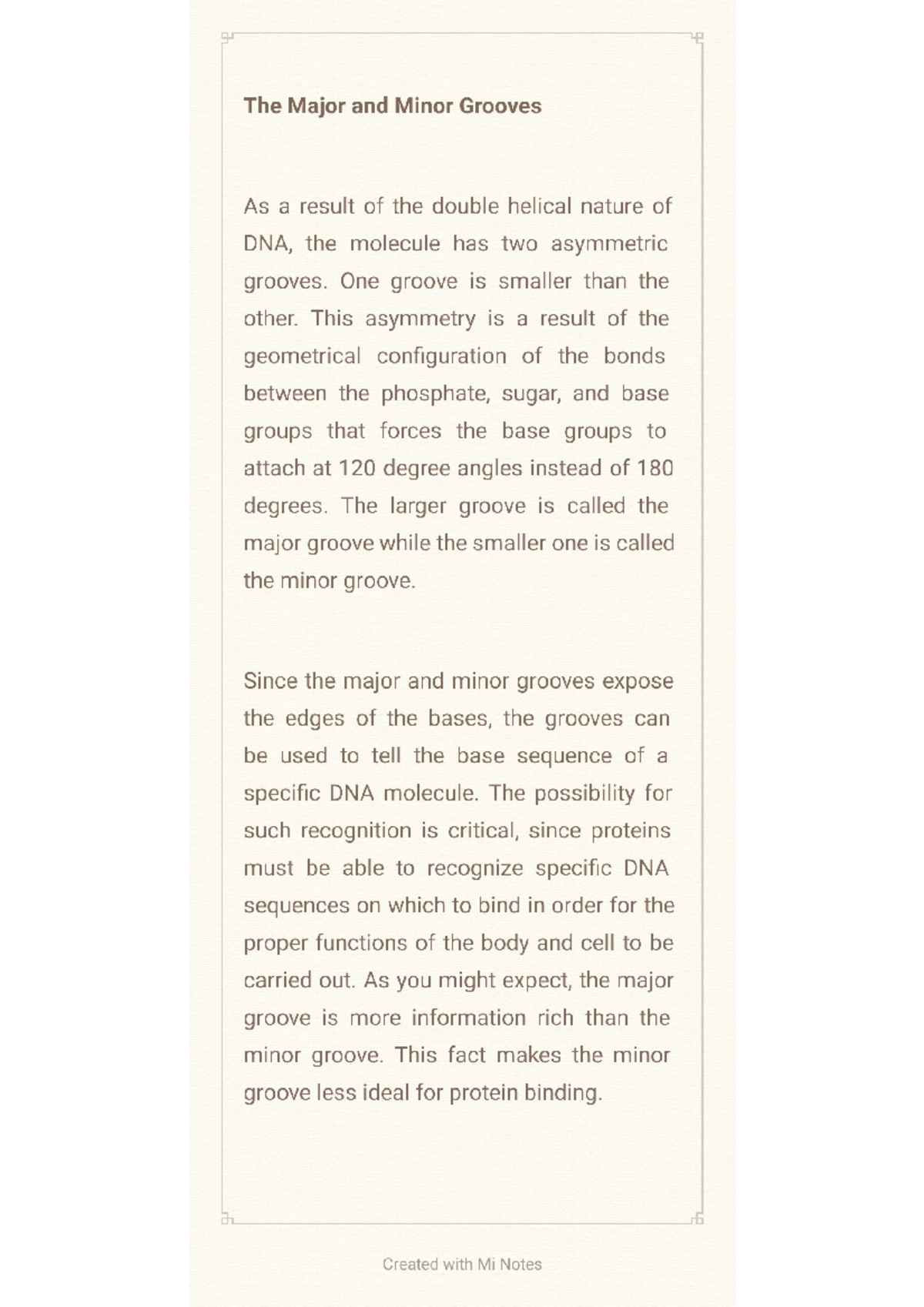 The major and minor Groove Biology Studocu