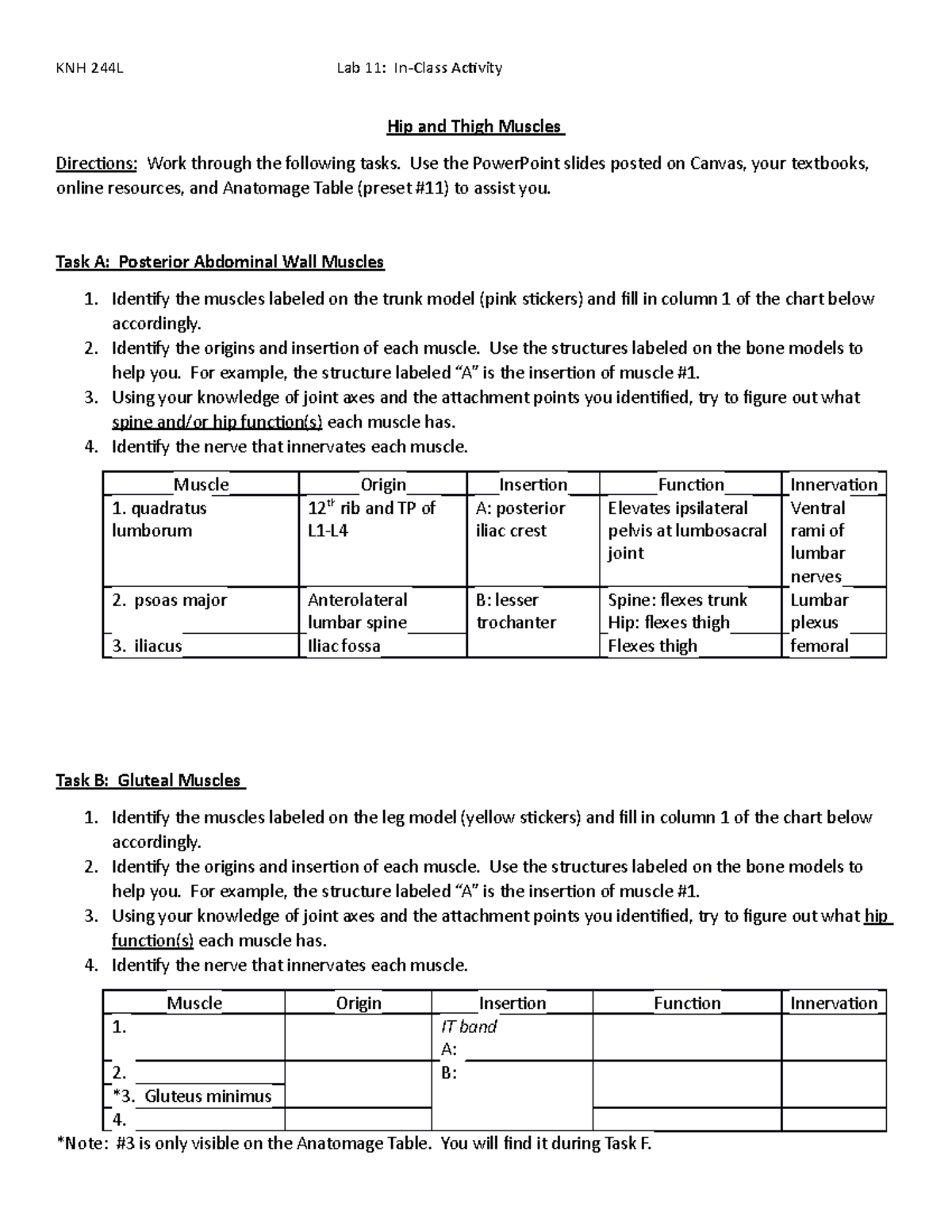 week-11-lab-activity-hip-thigh-muscles-s22-hip-and-thigh-muscles