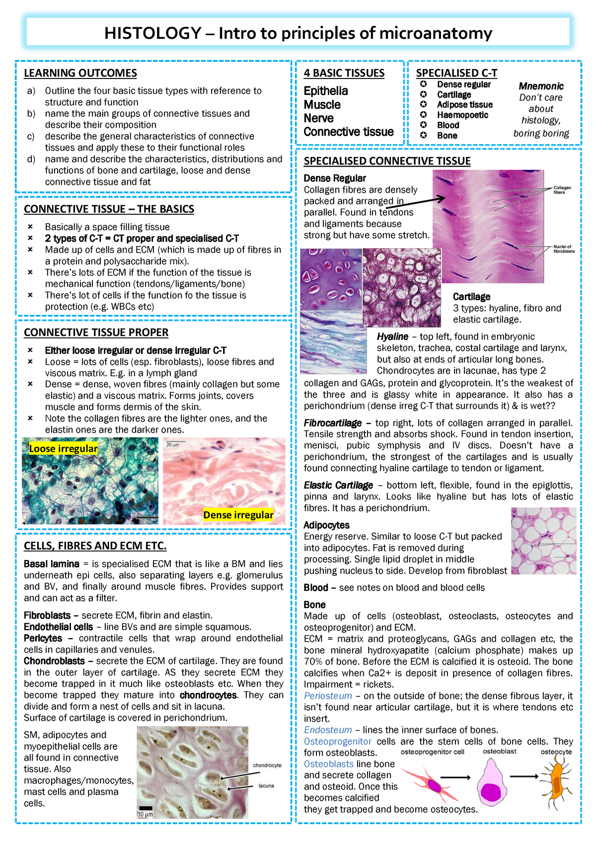 PCS-Revision-Histology - SPECIALISED C-T Dense regular Cartilage ...