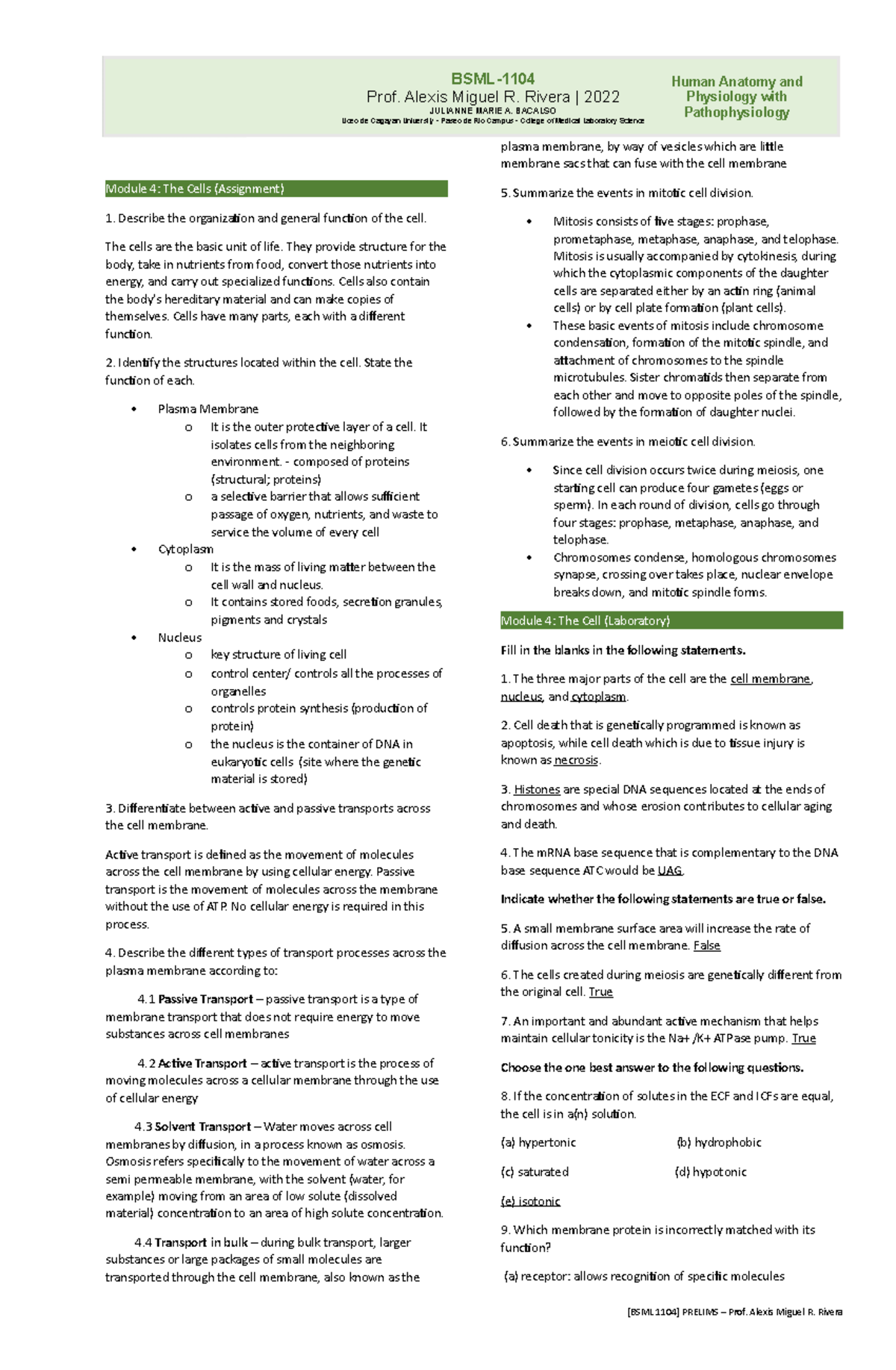 3.04 assignment anatomy and physiology