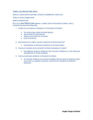 TECNICA DE COLORACION BACTERIANA (TINCION SIMPLE) - 1 TECNICAS DE ...