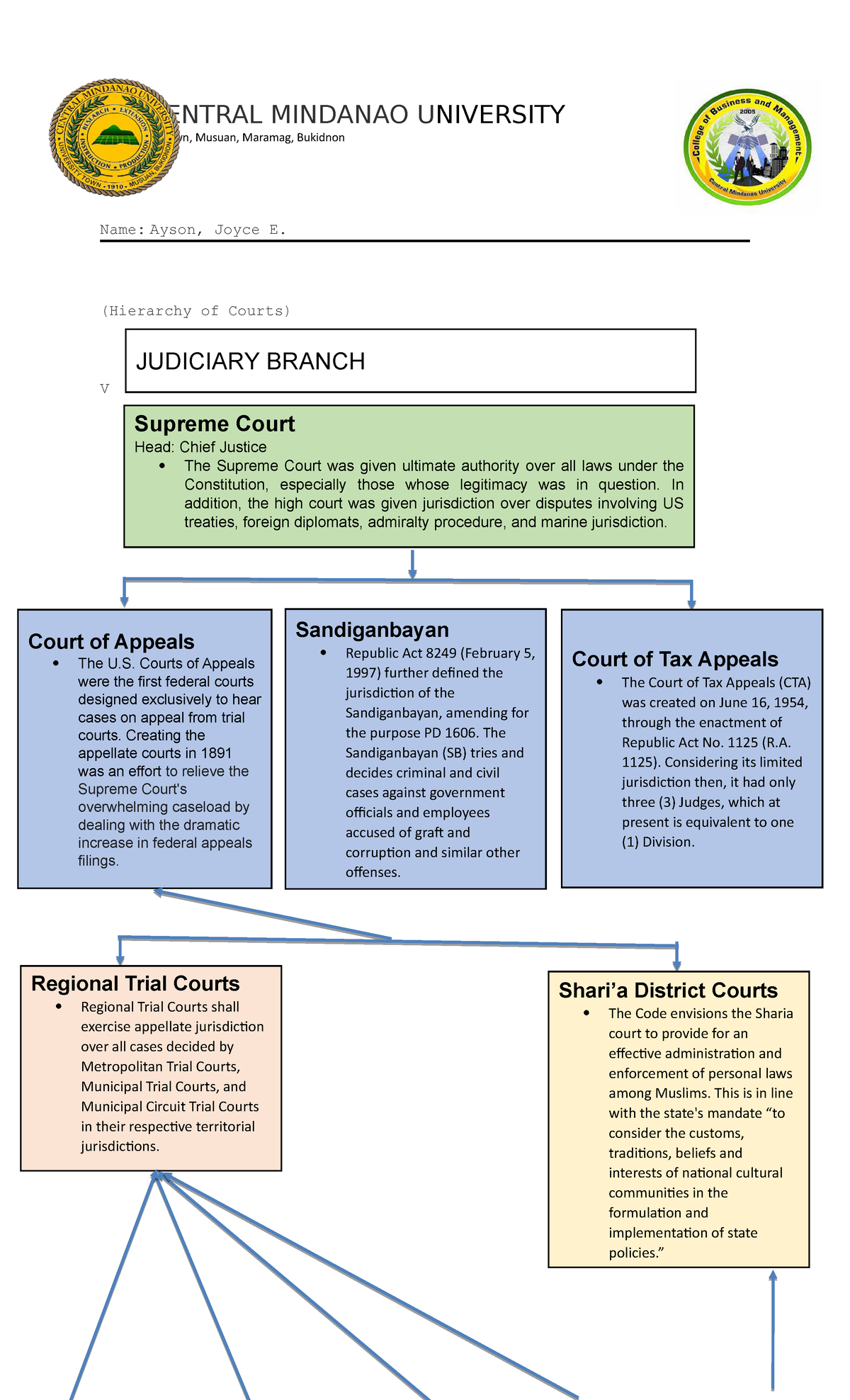 Hierarchy Of Courts Ayson CENTRAL MINDANAO UNIVERSITY University Town 