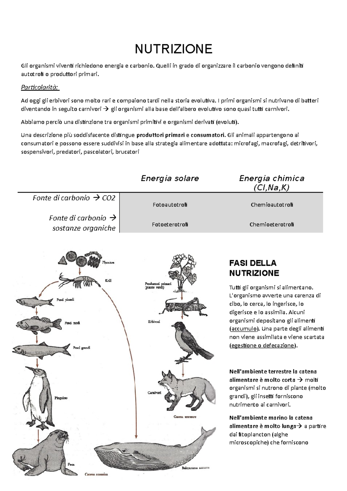 Nutrizione Animali (zoologia Generale Prof. Bonasoro) - UniMi - Studocu