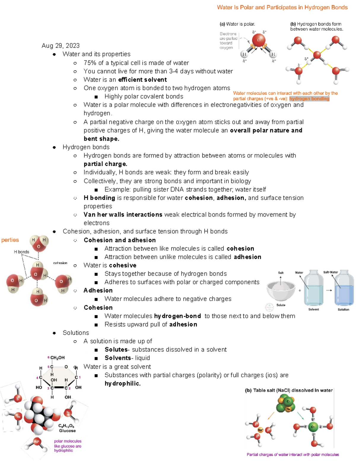 Chapter 2- Chemical Basis Of LIfe II - Aug 29, 2023 Water And Its ...