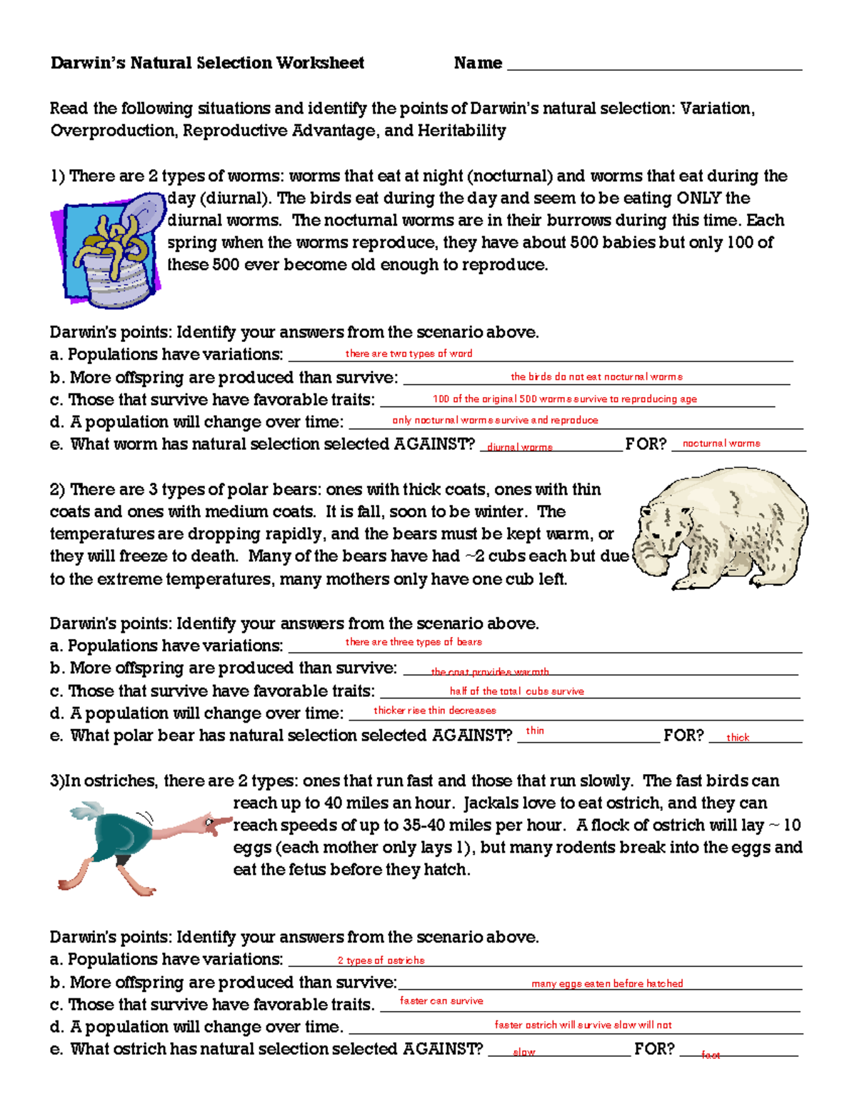 Kami Export Darwin's Natural Selection Worksheet 1 Darwin’s Natural Selection Worksheet Name