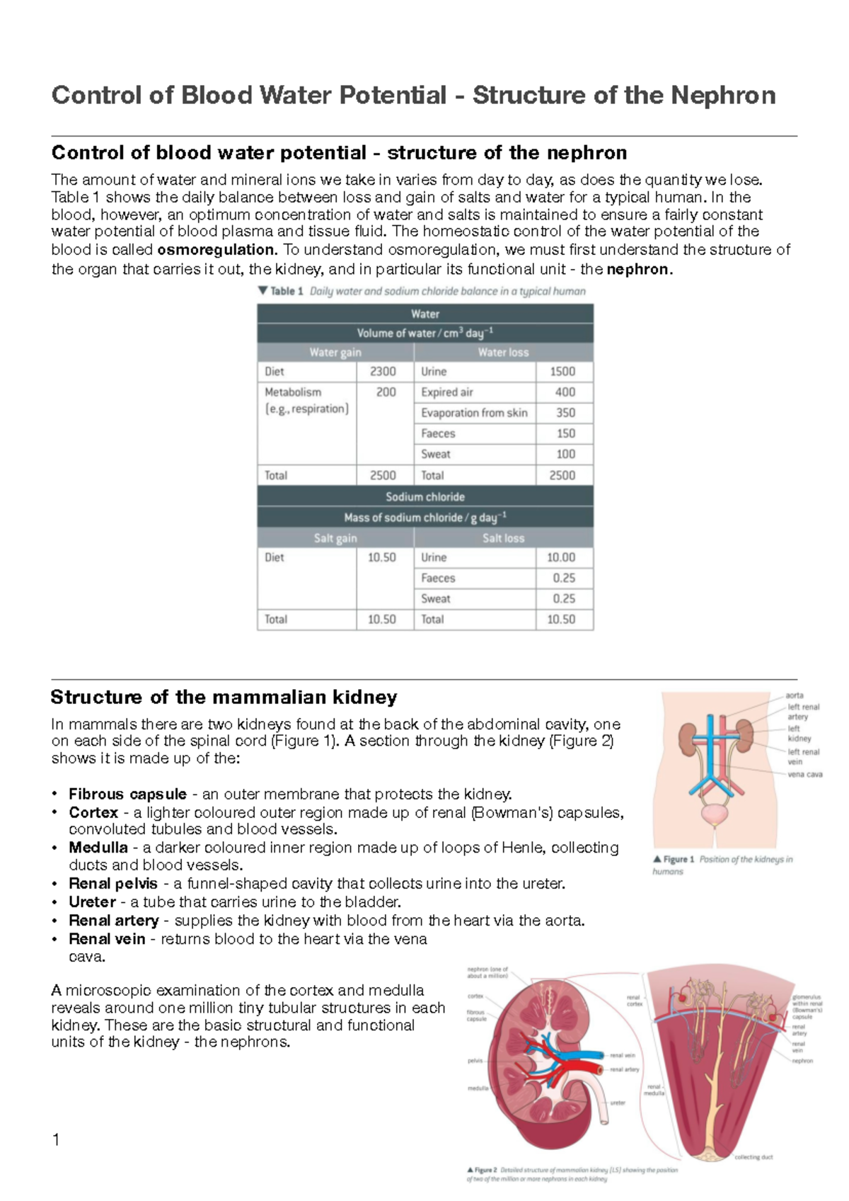 4) Control of Blood Water Potential Structure of the Nephron Table 1 shows the daily balance