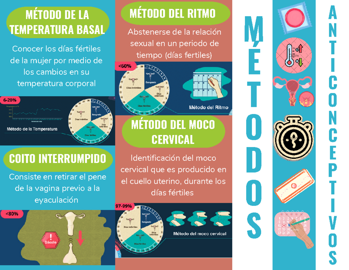 Turquoise and Health Icons Medical Trifold Brochure 20231123 205258 ...