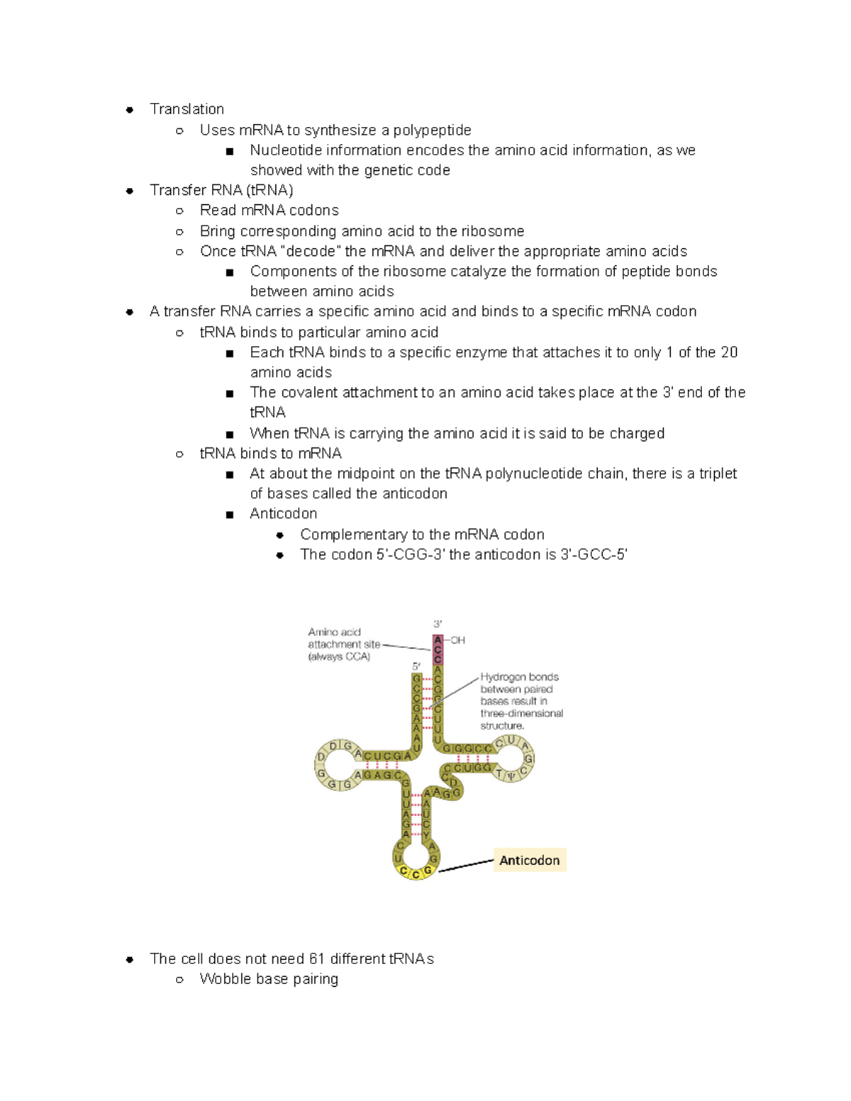 14.6 The coding sequence in m RNA is translated into proteins by ...