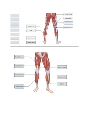 7-1 Mastering A&P Module Seven Homework - 7-1 Mastering A & P Module ...