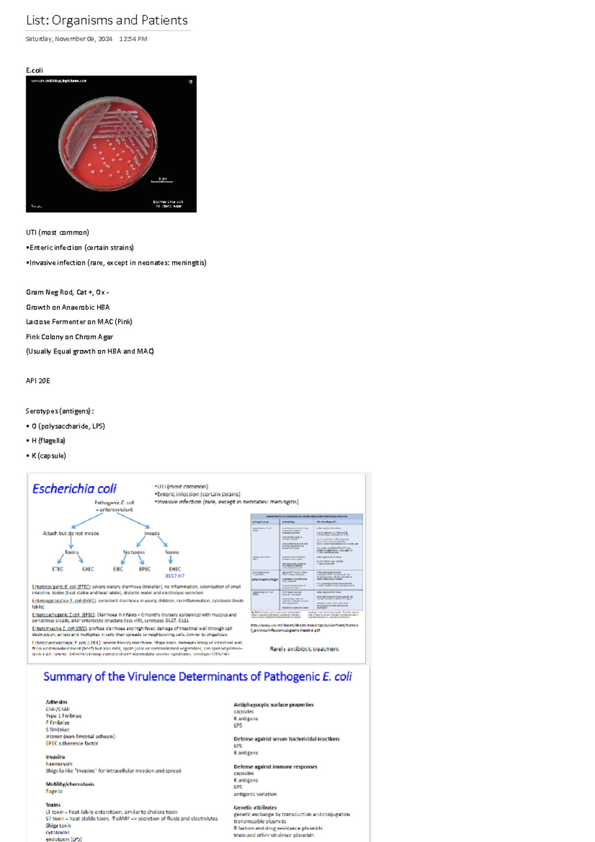 Microbiology Diagnosis Prac Organisms Patients and Tests 2024 - List ...