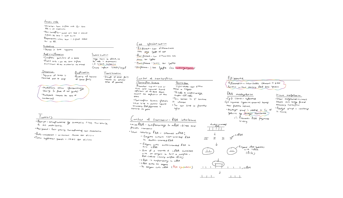 Bio gene expression - Studocu