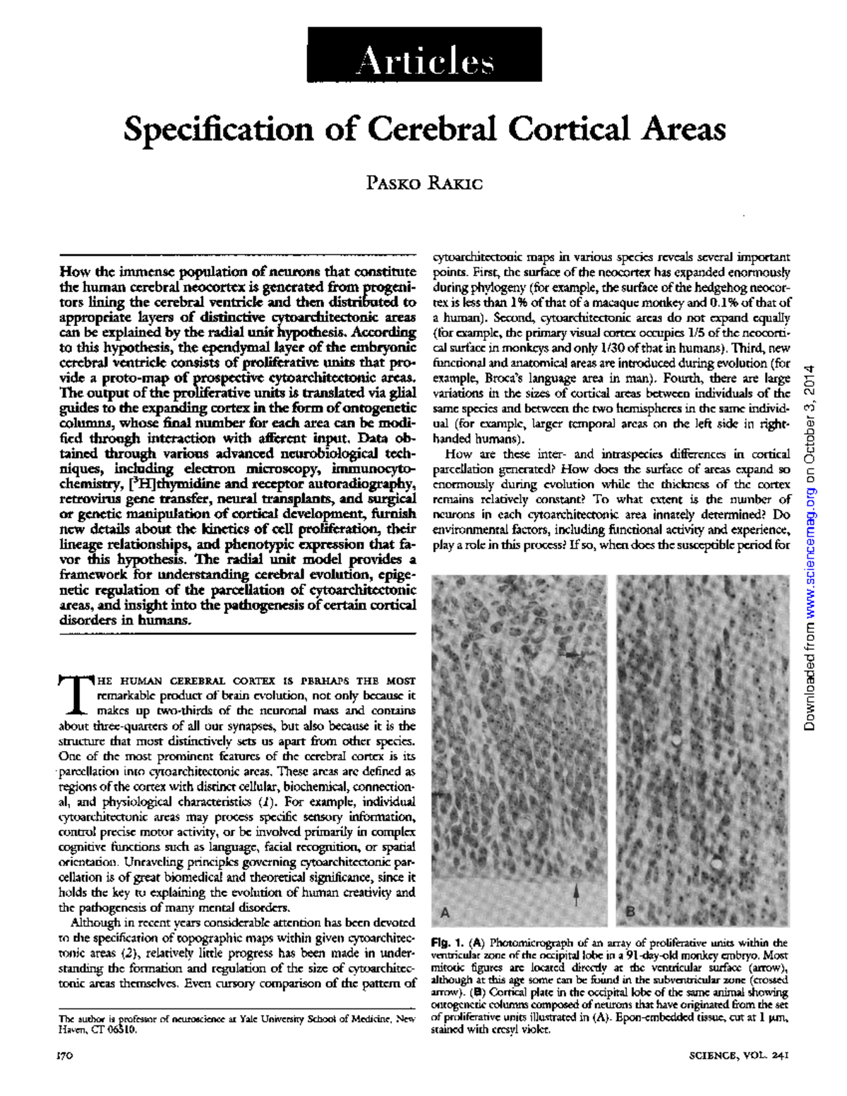 S1A Specification of Cerebral Cortical Areas - Specification of ...