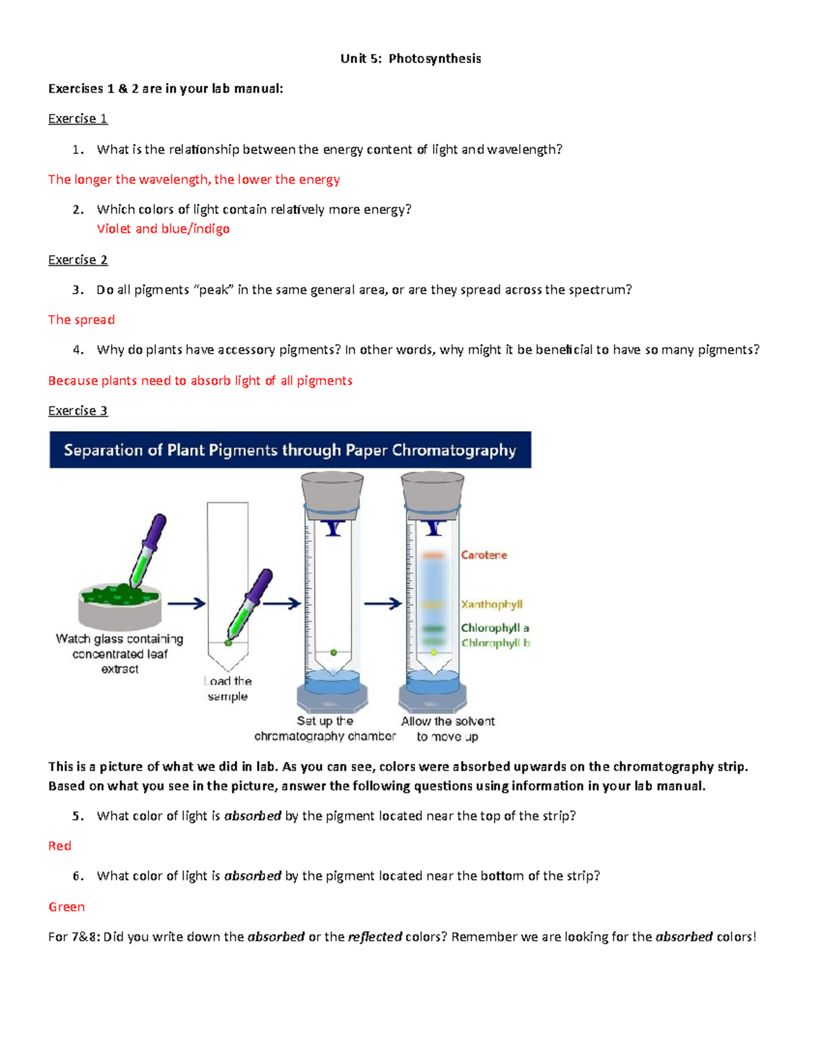 Unit 5 Make-up Worksheet - Unit 5: Photosynthesis Exercises 1 & 2 Are 