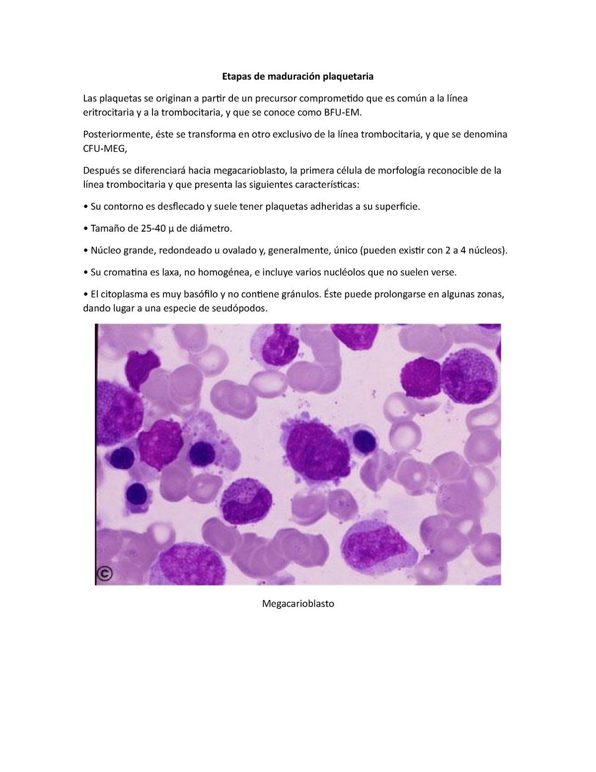 Etapas De Maduración Plaquetaria Hemostasia 1y 2 Etapas De Maduración Plaquetaria Las 0518