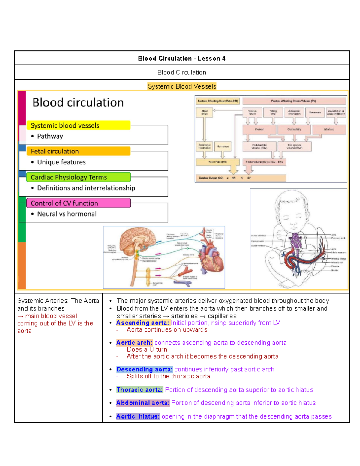 HA&PII - M1L4 - Lecture notes - Blood Circulation - Lesson 4 Blood ...