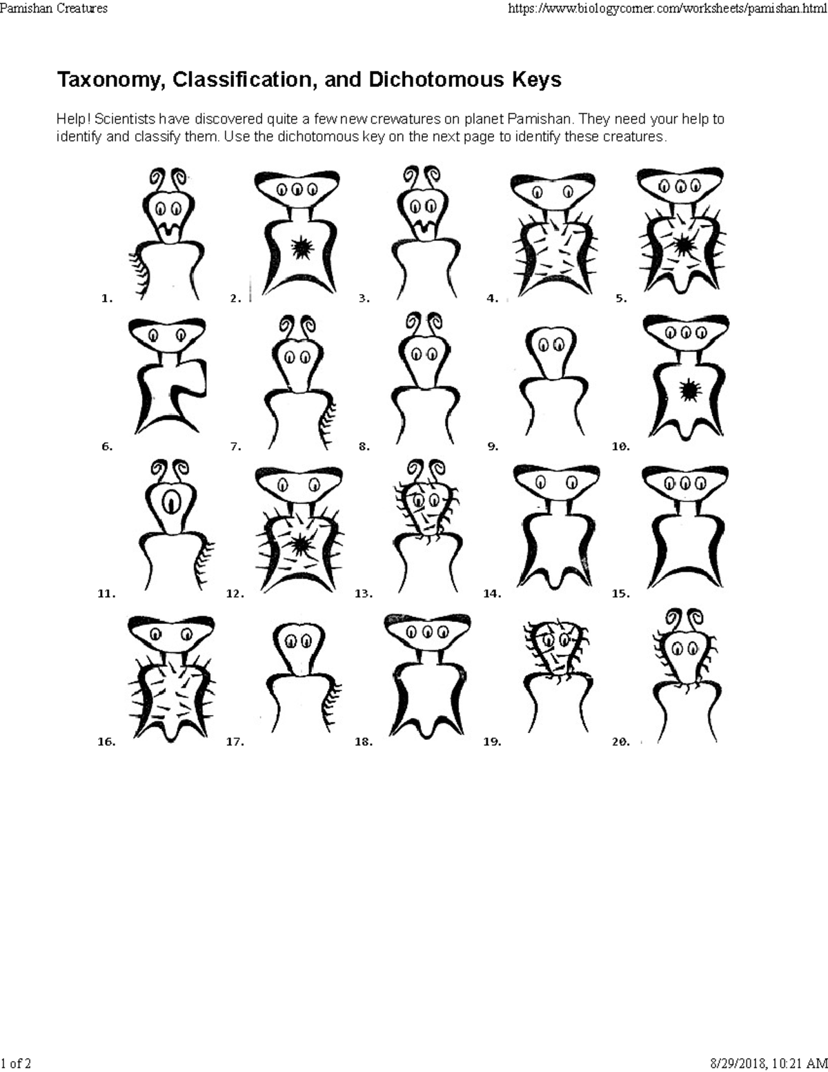 Dichotomous Key to Phamishan Creatures - SBIO011 - Taxonomy ...