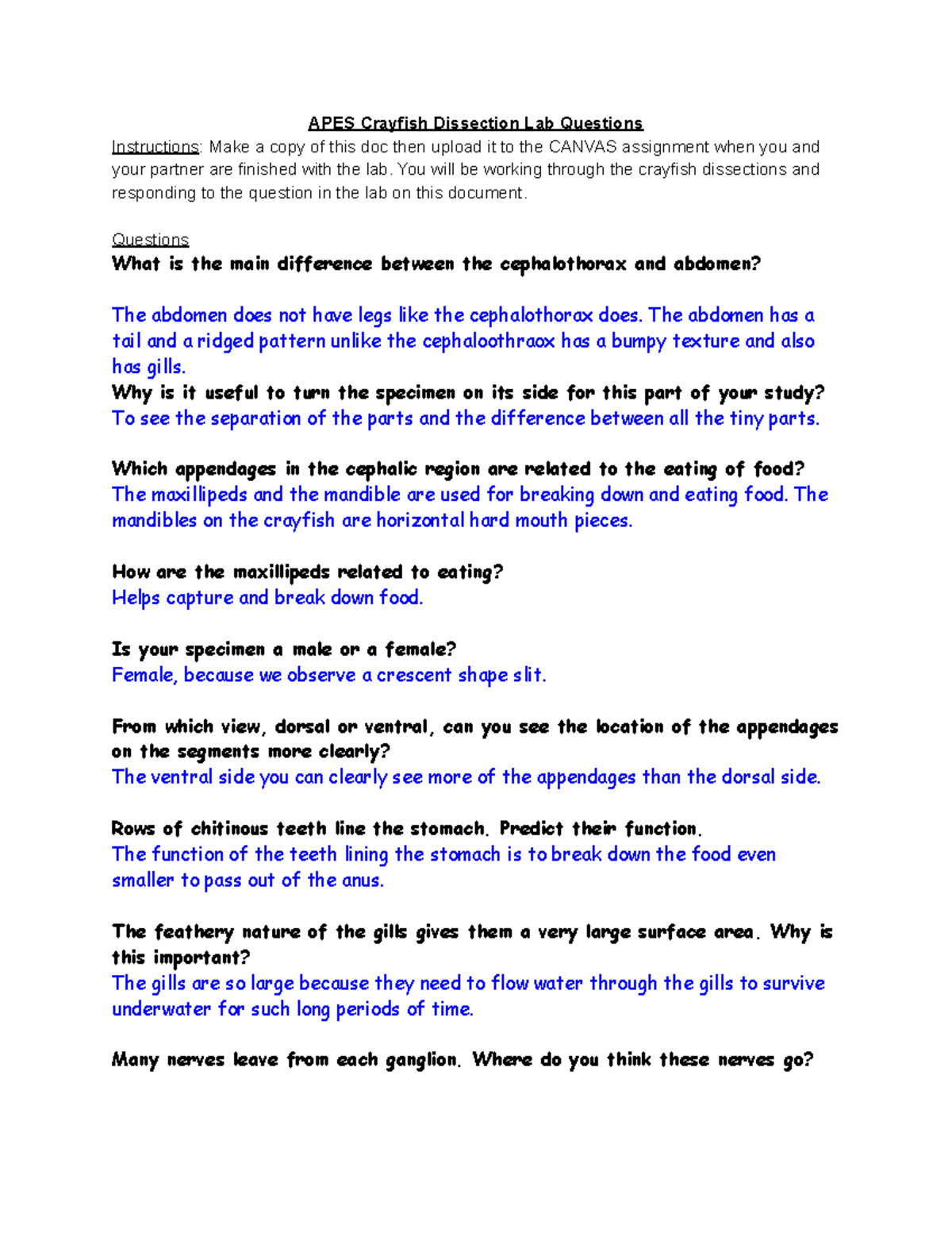 Copy of APES Crayfish Dissection Lab Questions - APES Crayfish Dissection  Lab Questions - Studocu