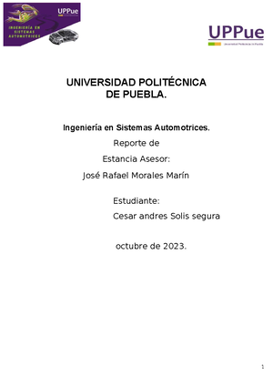 Copia de reporte de estancia