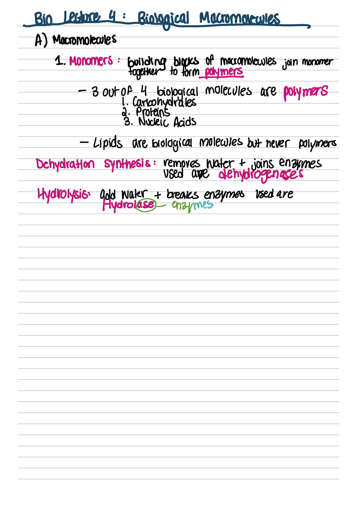 Bio Notes 4: Biological Macromolecules - BIO 115 - Studocu